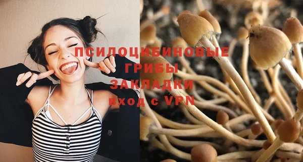 герыч Магас