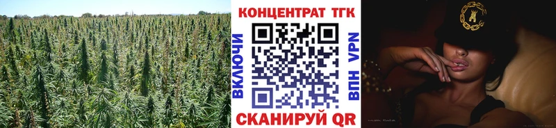 магазин продажи наркотиков  Нефтегорск  ТГК вейп 