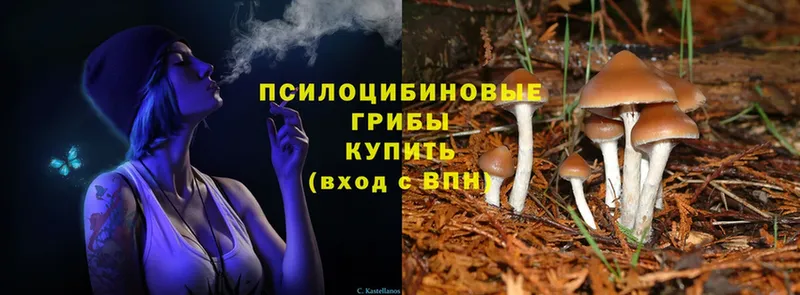 Псилоцибиновые грибы Magic Shrooms  Нефтегорск 