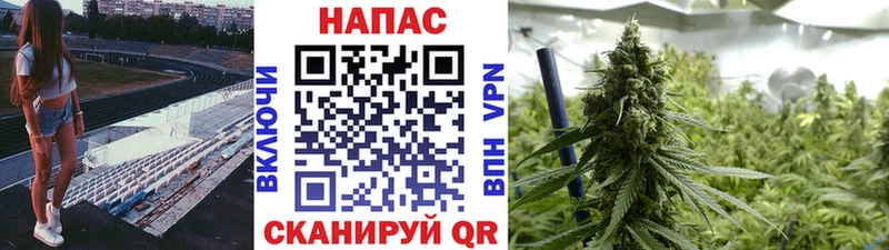 Бошки Шишки AK-47  Нефтегорск 